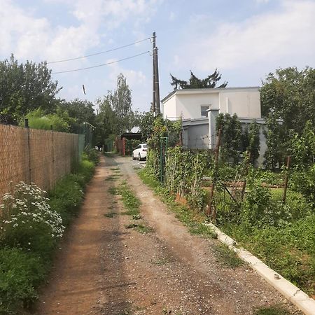 Dum V Brne Daire Brno Dış mekan fotoğraf