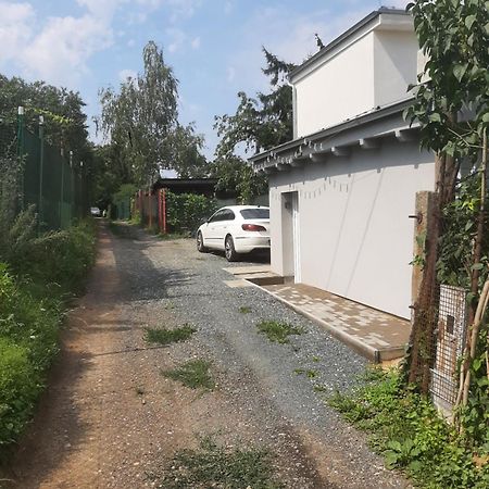 Dum V Brne Daire Brno Dış mekan fotoğraf